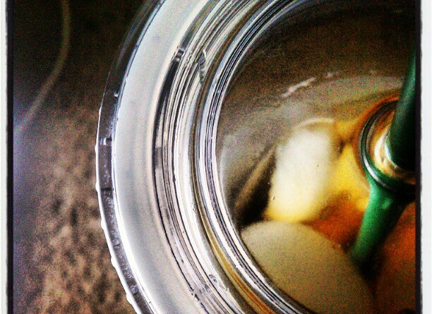 April Photo a Day